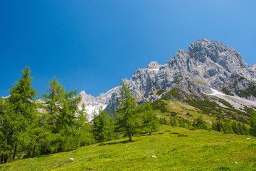 View closeup Alpine rocks in National park Dachstein, Austria, Europe. Blue sky and green forest in summer day