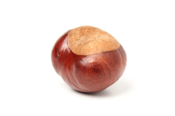 Chestnut