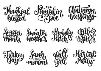 Set with lettering for Thanksgiving Day. Season Of Thanks, Pumpkin Pie, Thankful and Blessed, vector handwritten phrases