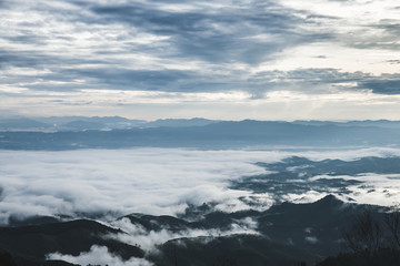 Fototapeta na wymiar fog and cloud mountain valley spring landscape.