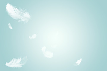 abstract background, white feather floating in the air.