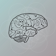 Human brain. Network of neurons. Vector illustration