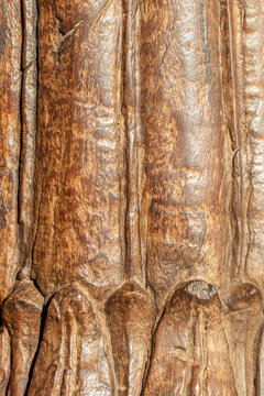 Close-up of old wooden texture background. Closeup of a detail from an old indian temple door with the original carving in local colors. Solid wood.