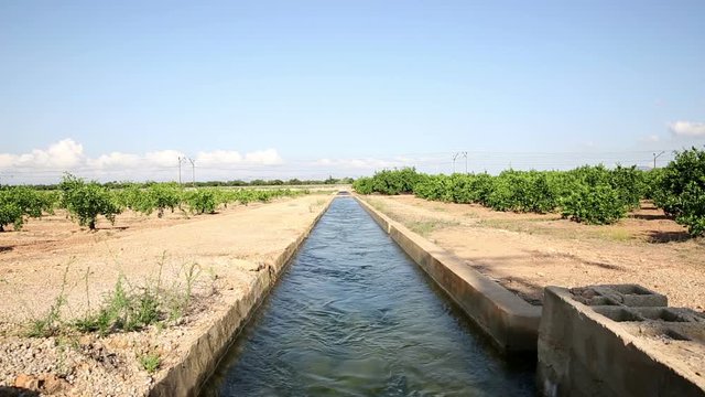 irrigation watercourse canal between Algemesi and Benifaio, province of Valencia, Spain