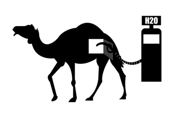Camel fueled by water on a gas station concept