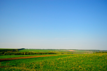 Fototapeta na wymiar Field horizon with blue sky and clouds