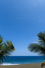 Palm leaves in tropical paradise, with blue sky, vertical