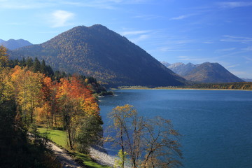 Herbstwald mit Sylvensteinsee