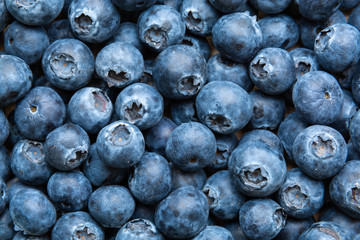 Close-up of ripe blueberry berries. Beautiful natural background