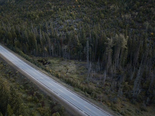 Fototapeta premium Aerial drone shot of Canadian country side with empty road and forest