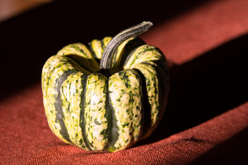 Green and white ornamental gourd on dark red fabric