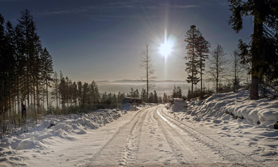 Fototapety na wymiar - Fototapeta24.pl