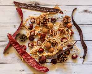 Autumn composition.Acacia fruit,chestnuts,cones and nuts on white wooden background