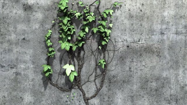 Ivy Growth with Alpha Matte