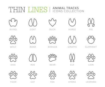 Collection of animal tracks line icons. Vector eps8
