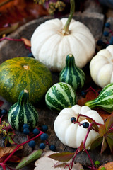 Autumnal pumpkins, harvest