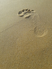 Fototapeta na wymiar Footprints in the sand. Beach