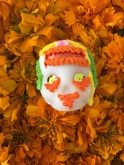 Authentic Skulls Over Cempasuchitl flowers for the day of the dead, Mexico