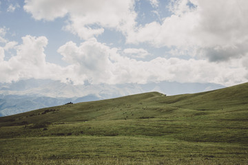 Closeup view mountains and valley scenes in national park Dombai, Caucasus, Russia, Europe. Summer landscape, sunshine weather, dramatic blue sky and sunny day