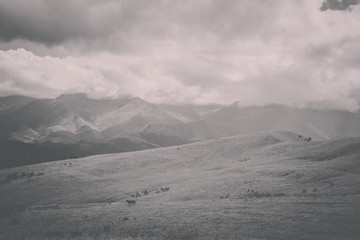 Closeup view mountains and valley scenes in national park Dombai, Caucasus, Russia, Europe. Summer landscape, sunshine weather, dramatic blue sky and sunny day