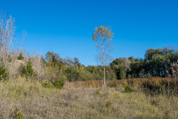 Herbst in Naturlandschaft