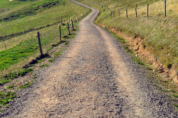 Wanderweg im Schwarzwald