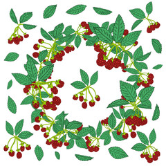 Wreath pattern of blackberry or raspberry. Berry background for textiles, wallpaper, sets of drawings, covers, surface, print, wrapper, scrapbooking.