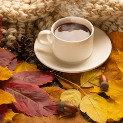 Autumn, fall leaves, a hot cup of coffee and a warm scarf on the background of a wooden table. Seasonal, morning coffee, Sunday relaxing and still-life concept. Warm, comfort and home comfort