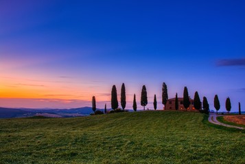 Cypress trees and meadow with typical tuscan house.