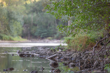 Landscape, river on the mountains