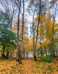 Autumnal morning in old public park in Riga - capital of Latvia and famous tourist city in Baltic...