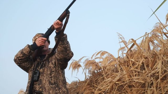 Autumn duck hunting on a foggy morning lake ..