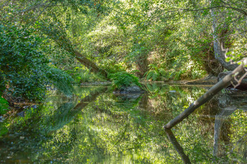 Landscape, river on the mountains