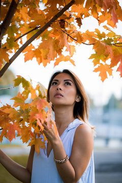 Girl by Autumn Tree