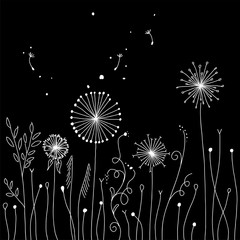 Indie background with dandelions. Abstract floral white ornament on black background. Magical fantasy flowers design. Vector illustration.