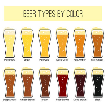 Infographic about beer types of color. Beer menu set. Vector illustration