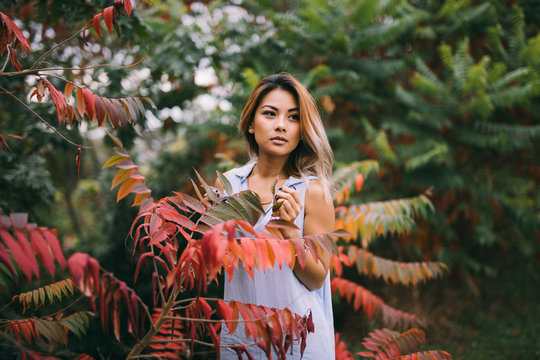 A Woman Musing Through Lush Autumn Woods