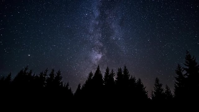 The Milky Way is moving in the night sky over the silhouettes of trees. Timelapse. 4K