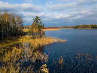 Aerial view of the forests and lakes of Karelia  