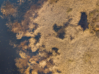 Aerial view of the lakes of Karelia 