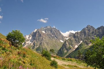 Obraz premium Closeup mountains scenes in national park Dombai, Caucasus, Russia, Europe. Sunshine weather and blue sky, summer day