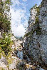 Fototapeta na wymiar Charming mountain stream in the valley near Schladming, Austria