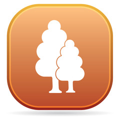 Deciduous forest icon
