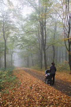 Grandmother with a baby stroller walking in the autumn park.