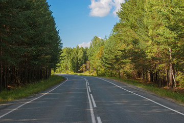 Road through green deep forest in Russia. Around green pines and blue sky, sunny day and autumn times