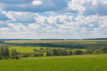 Green field and far away green forest, blue sky in summer day. Magical panoramic landscape place