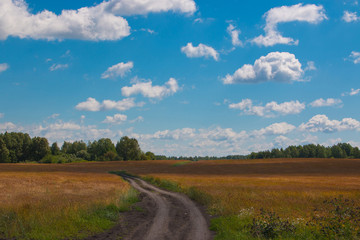 Brown field and far away green forest, blue sky in summer day. Magical panoramic landscape place