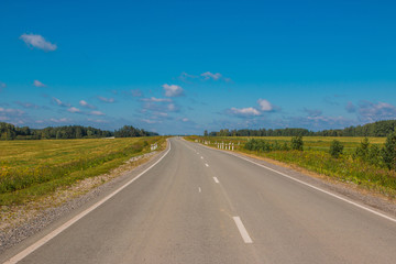 Road through green deep forest in Russia. Around green pines and blue sky, sunny day and autumn times