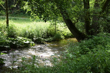 Steinachklamm im Fichtelgebirg