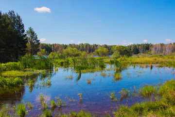 Fototapeta na wymiar Mysterious forest and lake in field of Russia. Around green trees, blue sky and water. Summer time